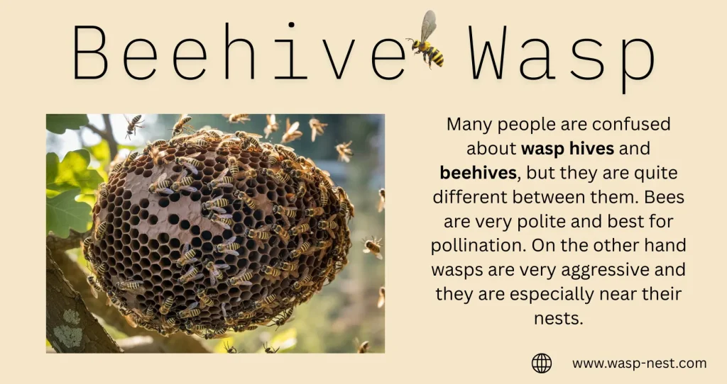 Beehive Wasp